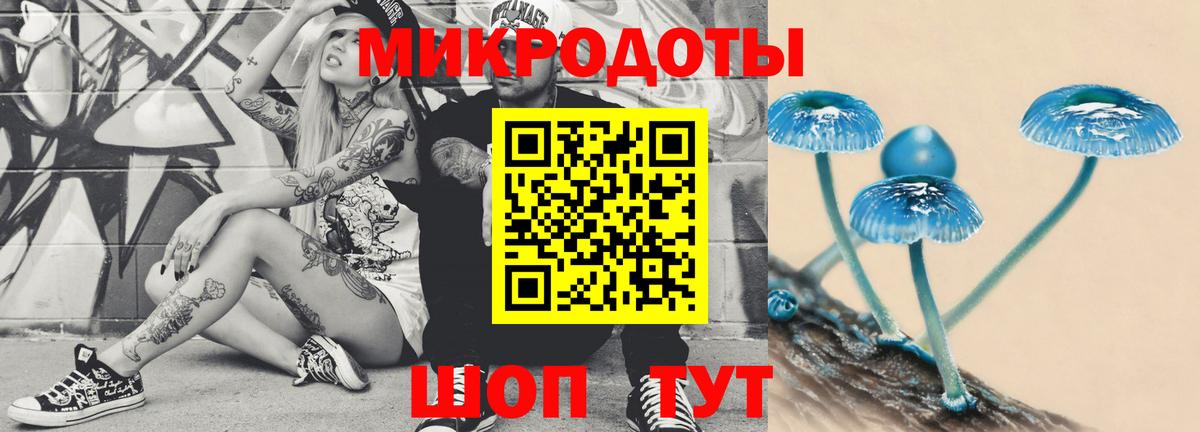 Псилоцибиновые грибы Cubensis Карасук